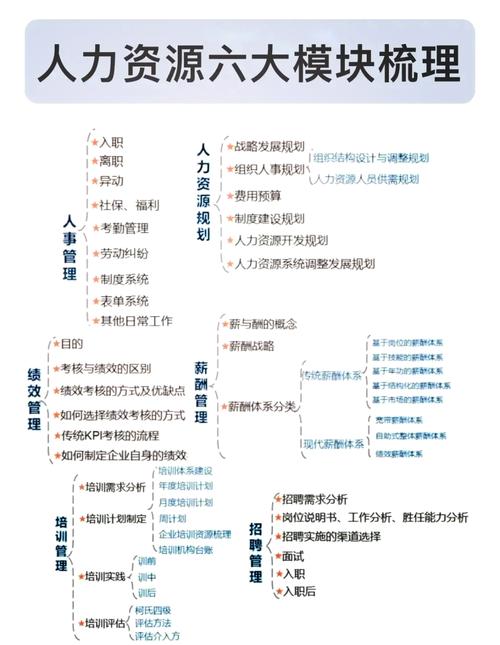 谈谈你对人力资源管理的理解