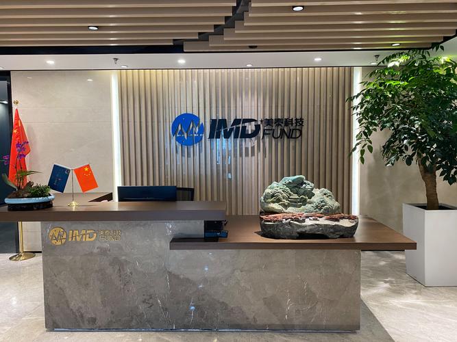 莞安投资管理有限公司