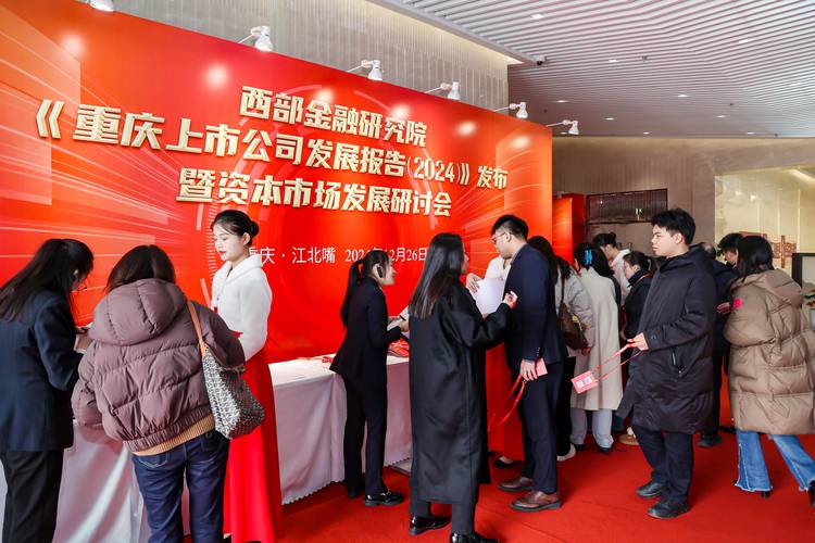 重庆新宏域资本管理有限公司