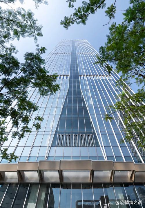 深圳市红塔资产管理有限公司