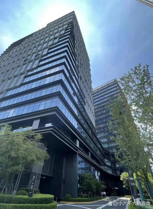 梧桐翔宇投资有限公司