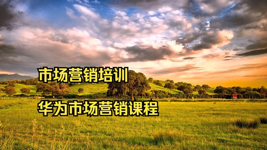 上海市场营销培训机构