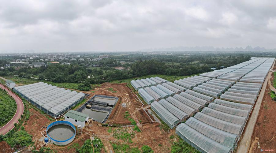 良丰投资管理有限公司