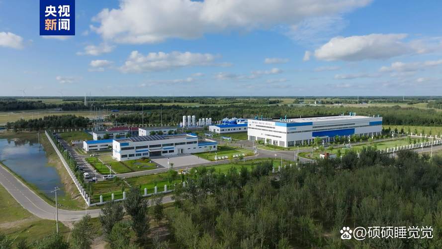 中国天然投资有限公司