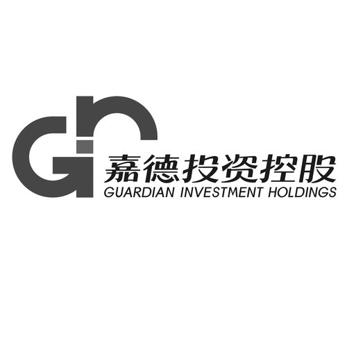 投资控股有限公司英文