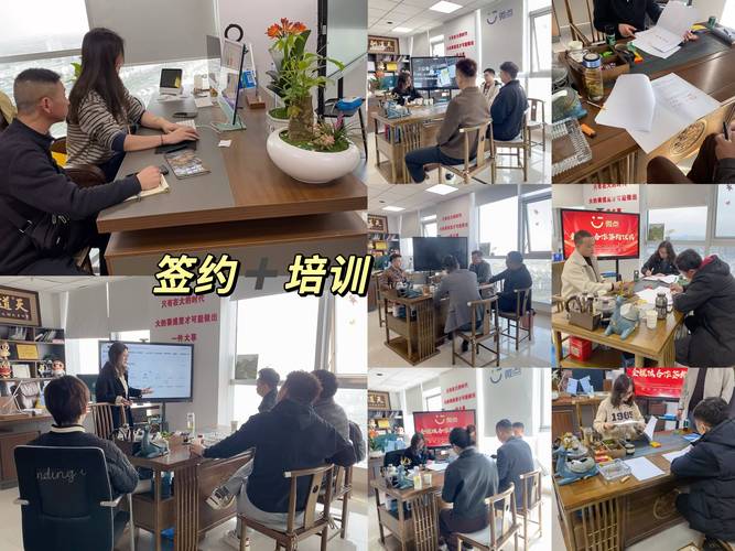 公司运营管理 培训