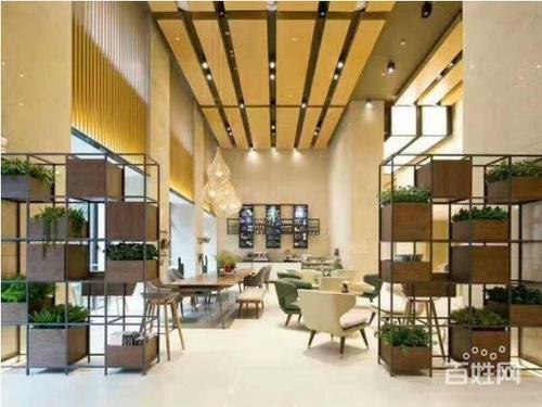 融信中盛国际投资管理