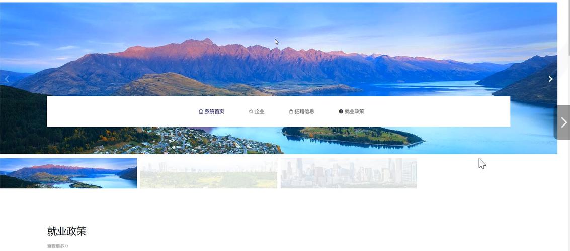 高校毕业生就业管理服务系统