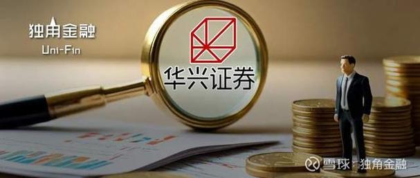 华兴投资控股有限公司