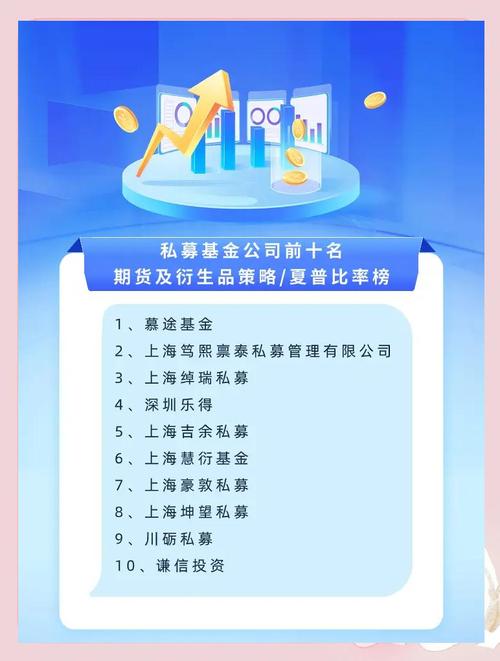 中国私募基金投资海外