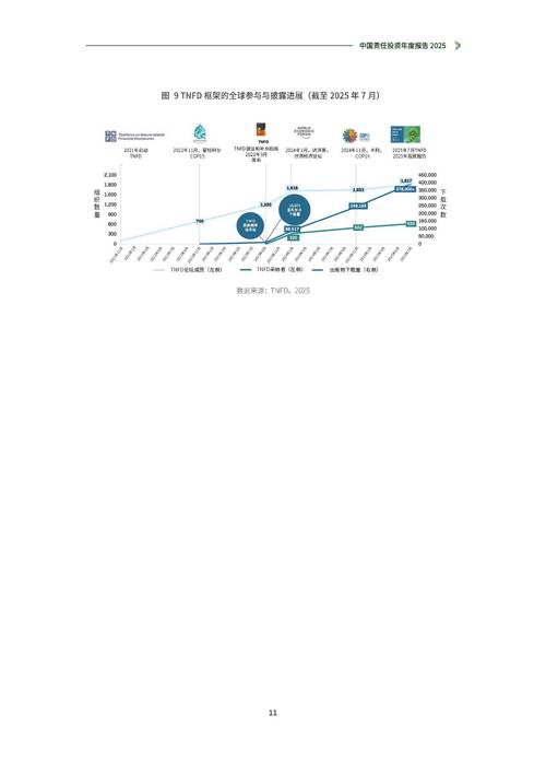 九鼎投资年报2025