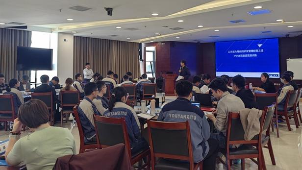 ipd项目培训公司