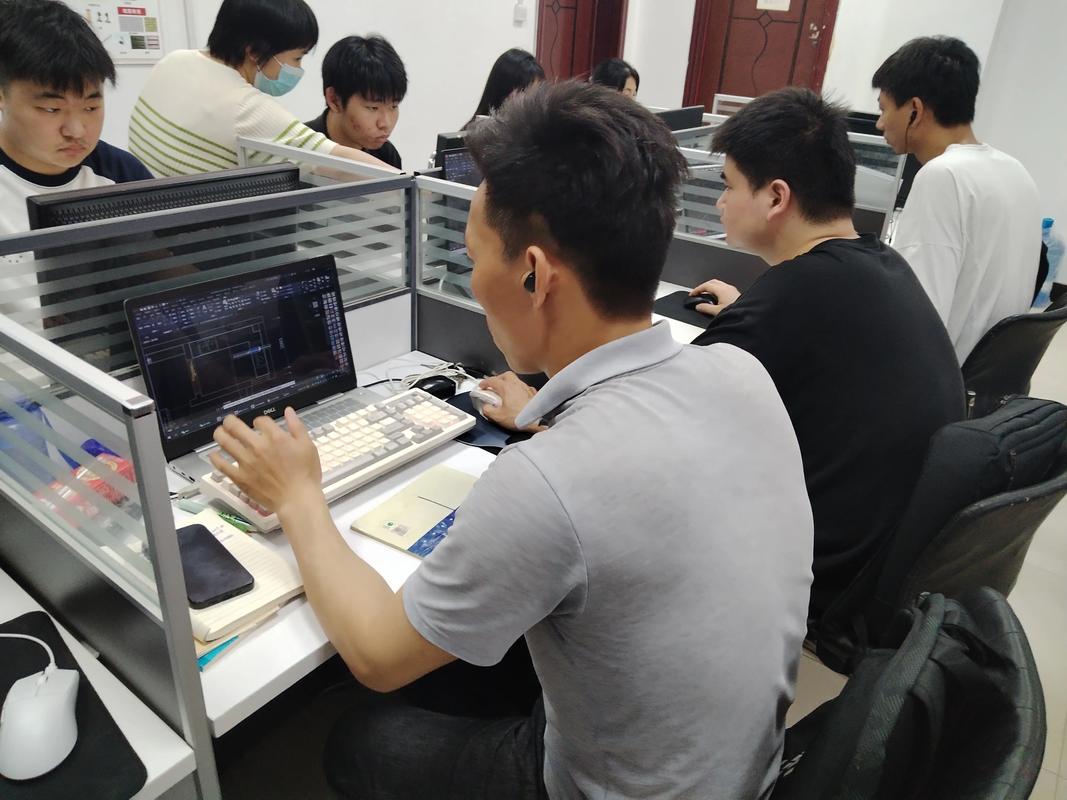 MSA教程培训视频