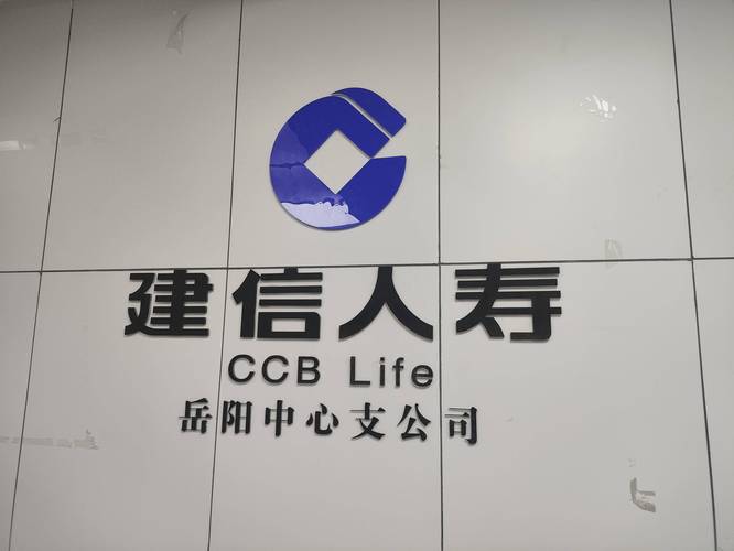 建信养老金管理有限责任公司