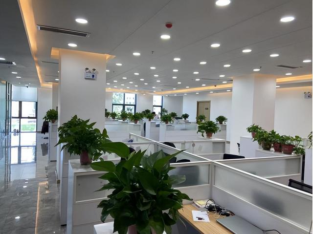 沈阳恒信投资管理公司