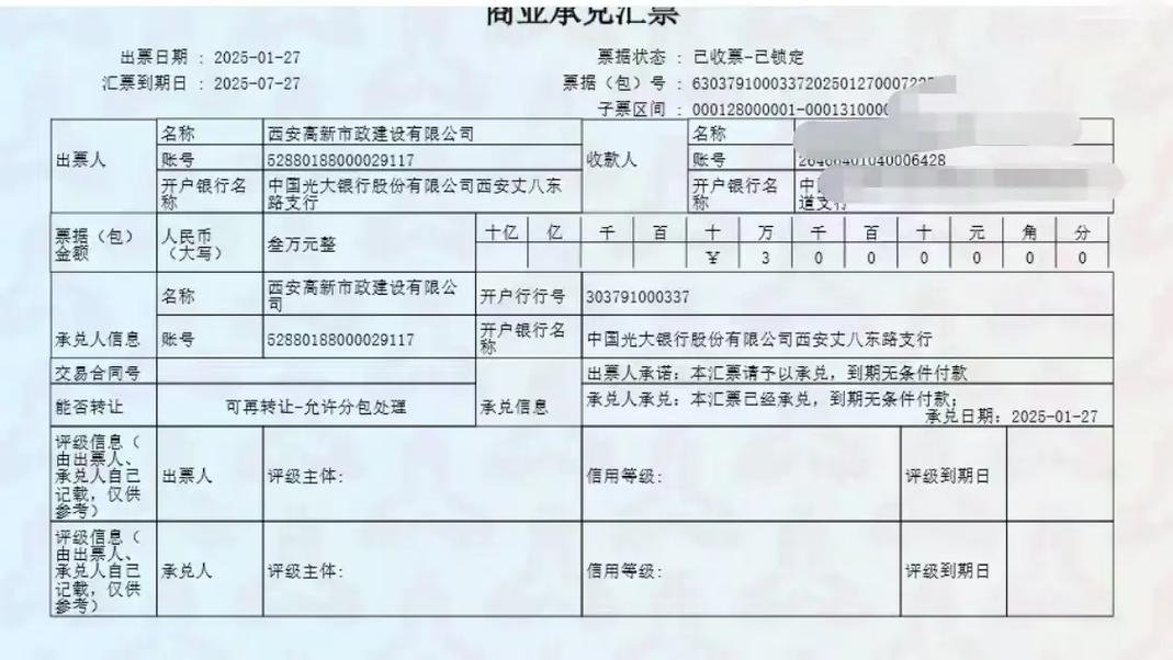 境内再投资专用账户是