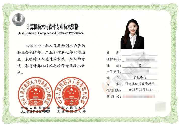 信息系统项目管理师 项目