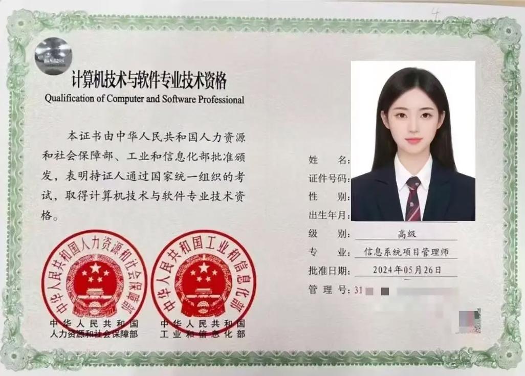 信息系统项目管理师 项目