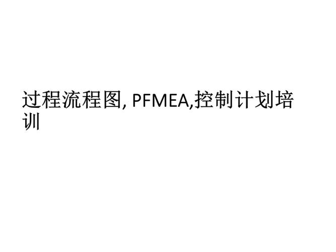 组织培训pfmea