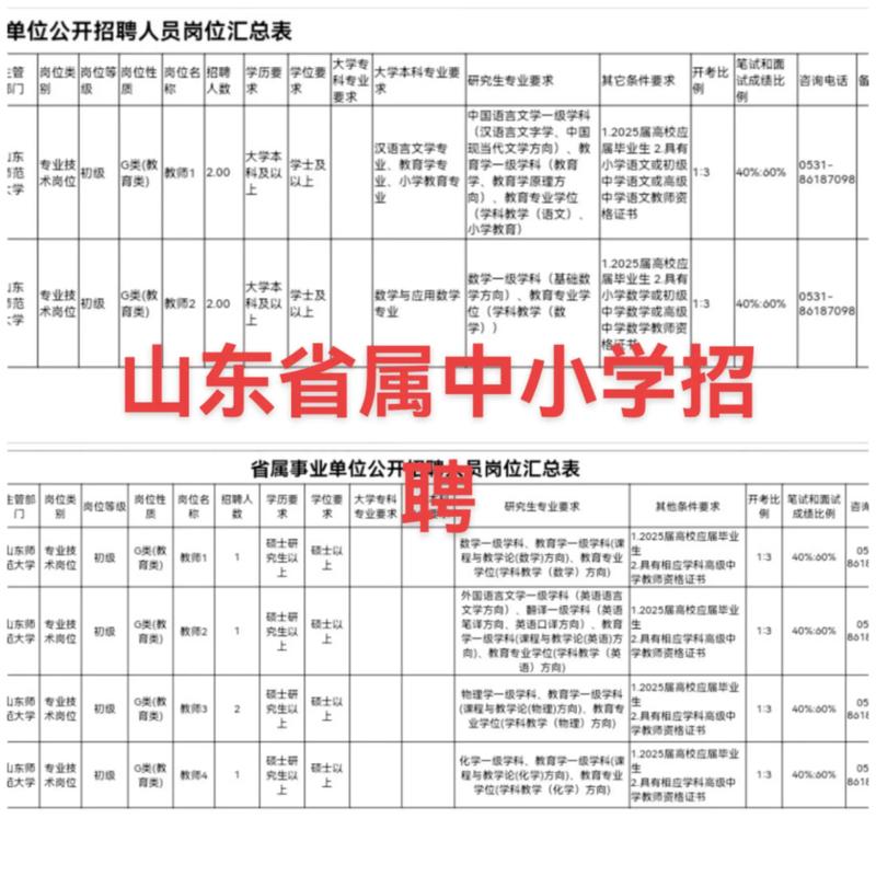 金洞管理区中小学教师招聘