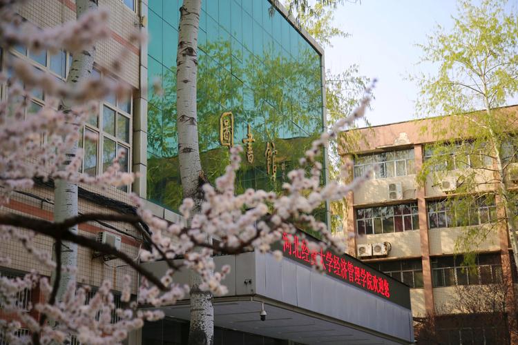 河北经贸大学经理管理学院