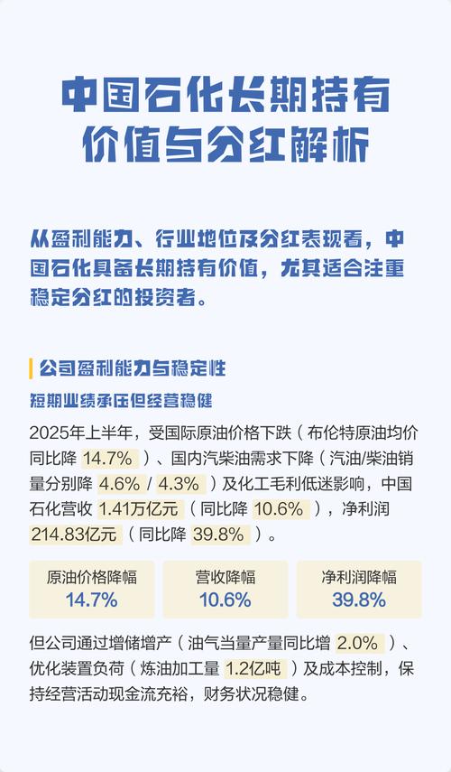 中国石化投资价值分析
