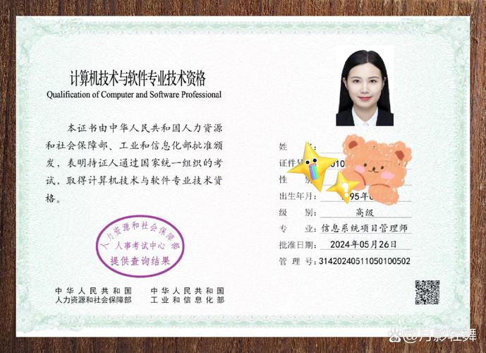 系统集成项目管理工程师吧