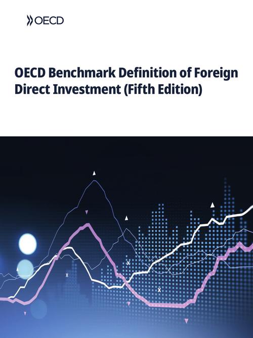 国际直接投资2025