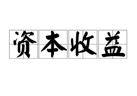 投资收益 收入 利得