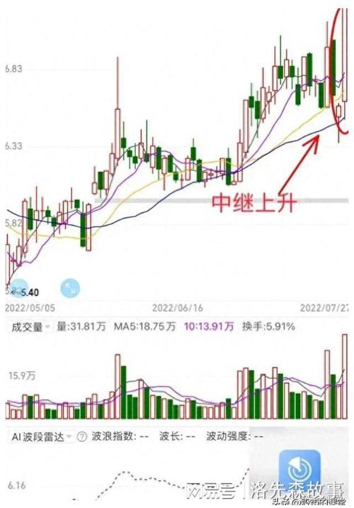 散户投资正典 pdf