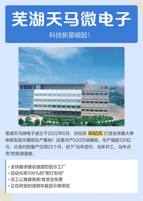 天马微电子 投资武汉