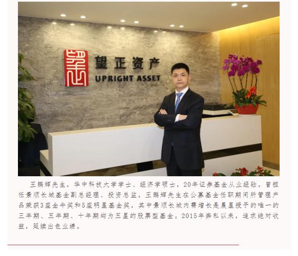 深圳望正资产管理有限公司