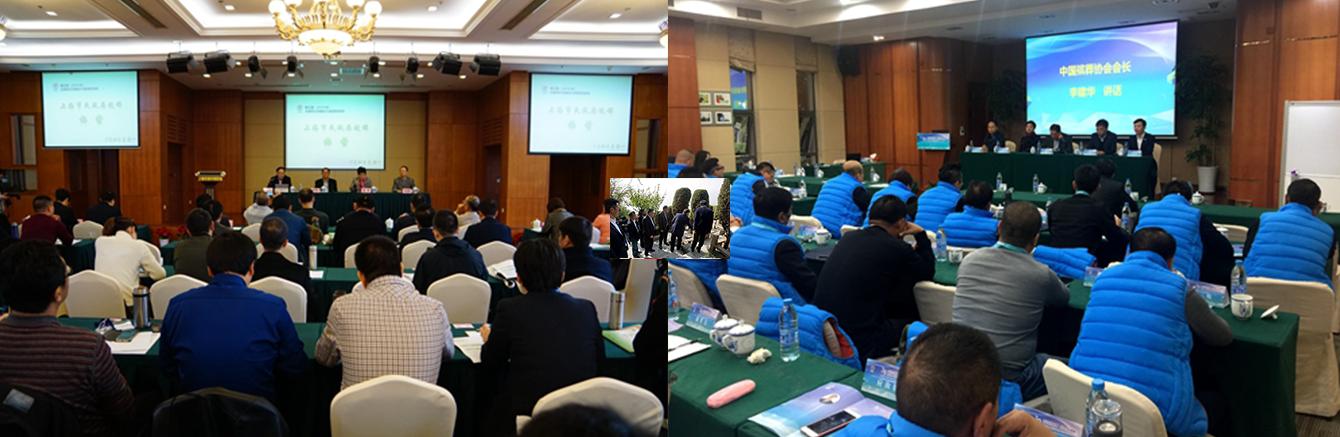 江苏安鼎安全管理有限公司