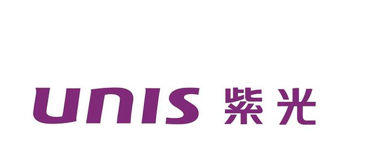 紫光股份投资价值分析