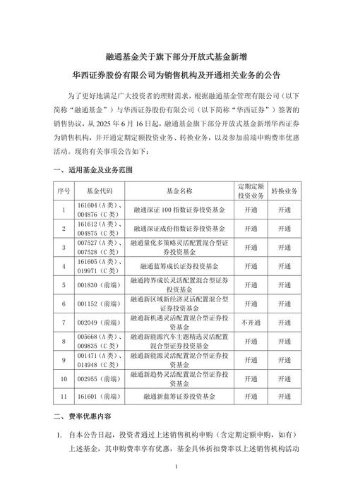 汽车投资项目管理意见