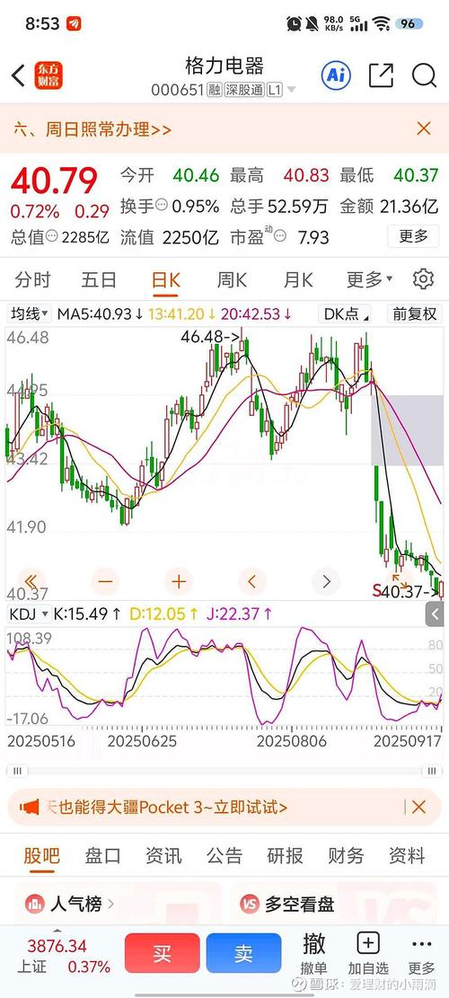格力电器证券投资分析