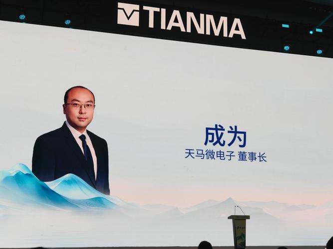 天马微电子 武汉投资