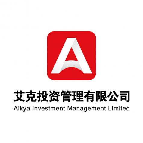 投资发展有限公司英文