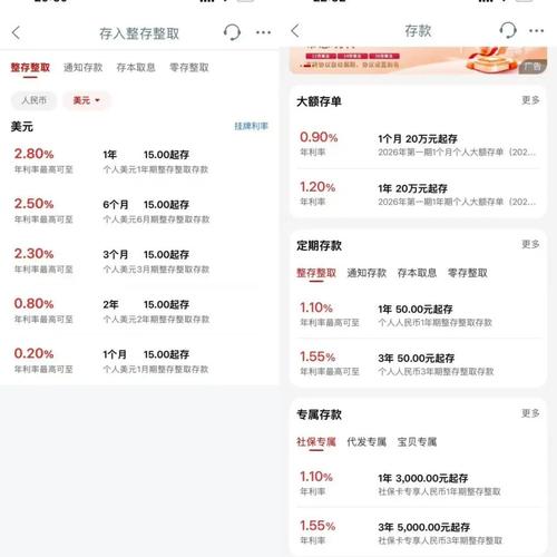人民币合格境内投资者
