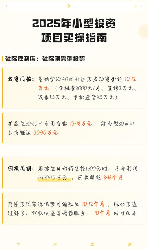 2025投资小的项目