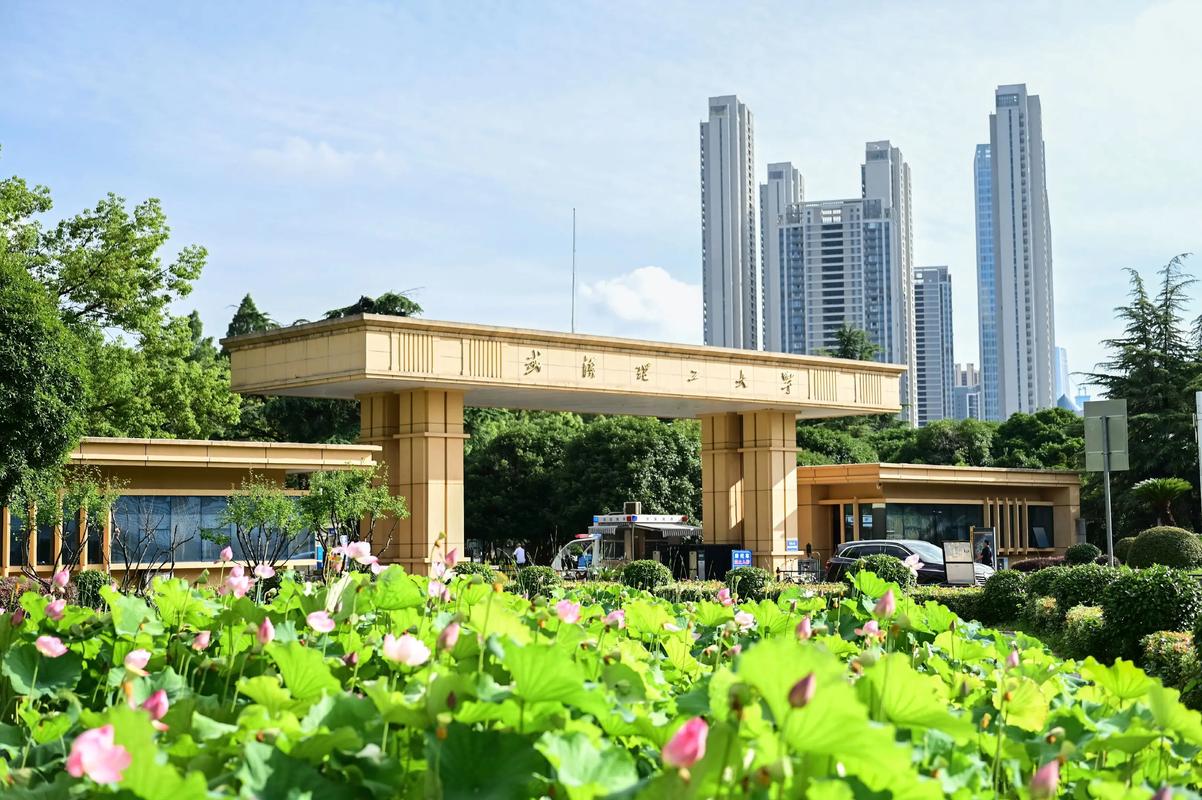 武汉理工大学管理学院官网