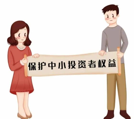 中小投资者的权益保护