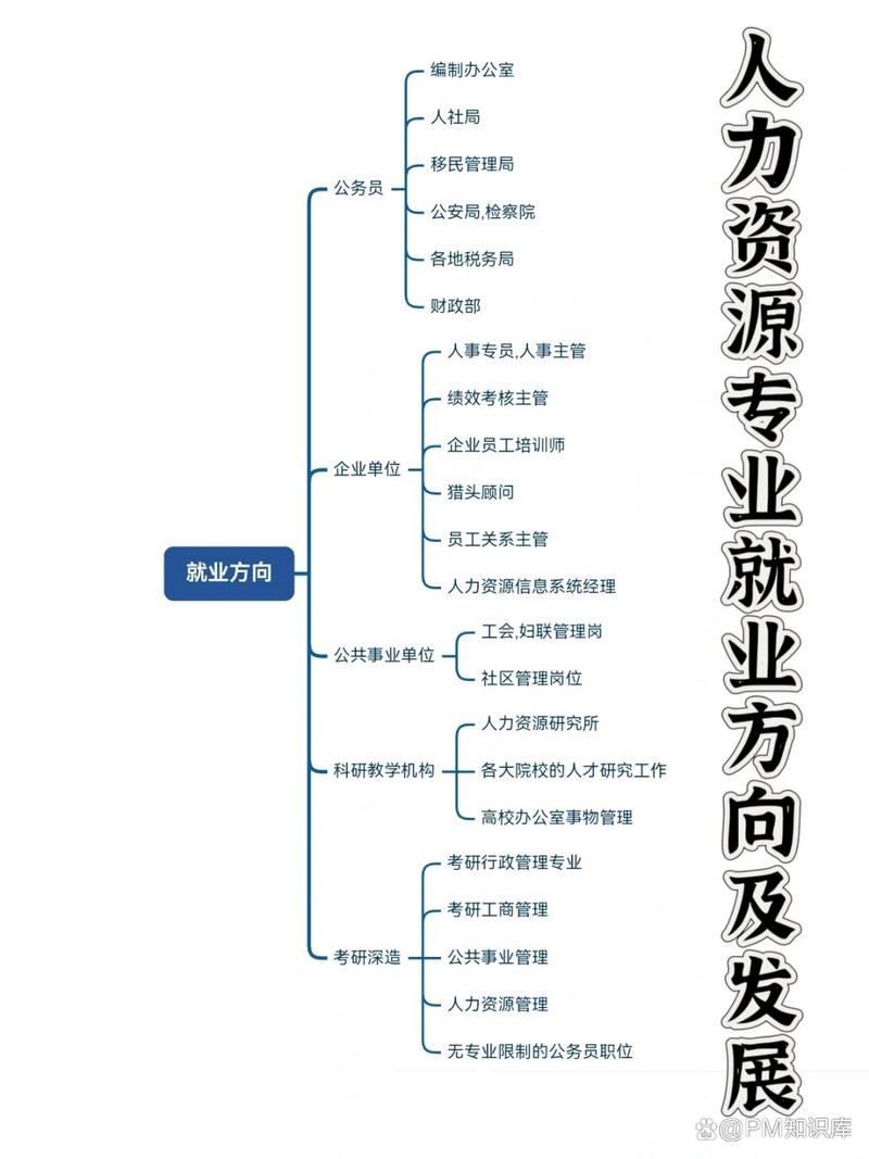 人力资源管理 职业规划