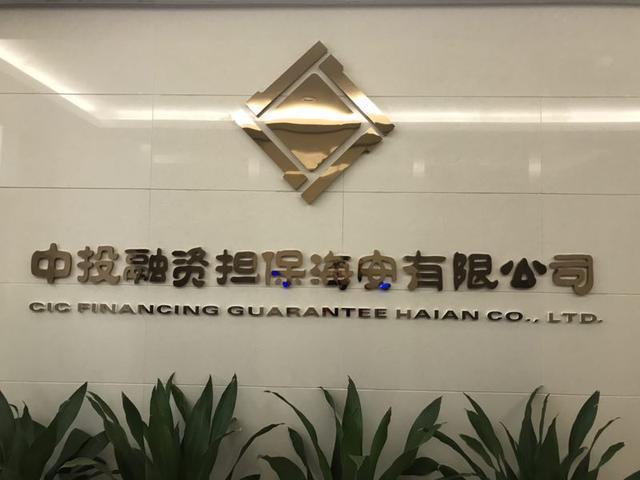 中小企业投资担保公司