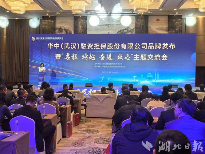 中小企业投资担保公司